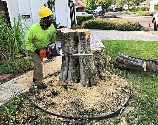 Trusted garden landscaping in San Diego, CA - jose