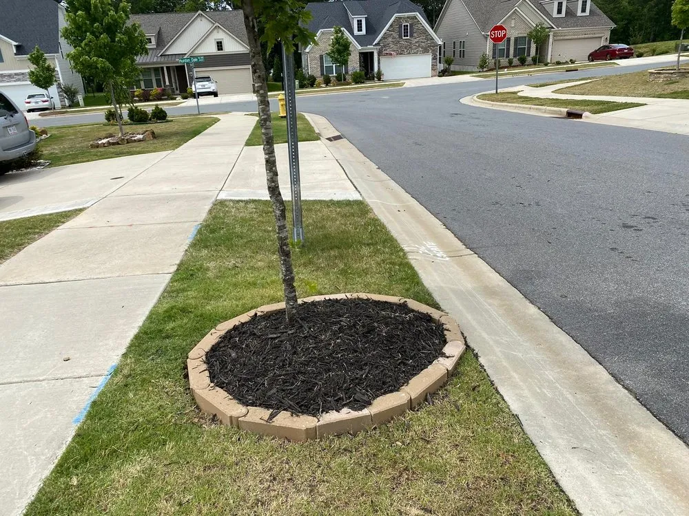 Professional landscape design in Charlotte, NC by Jose Santos Landscaping
