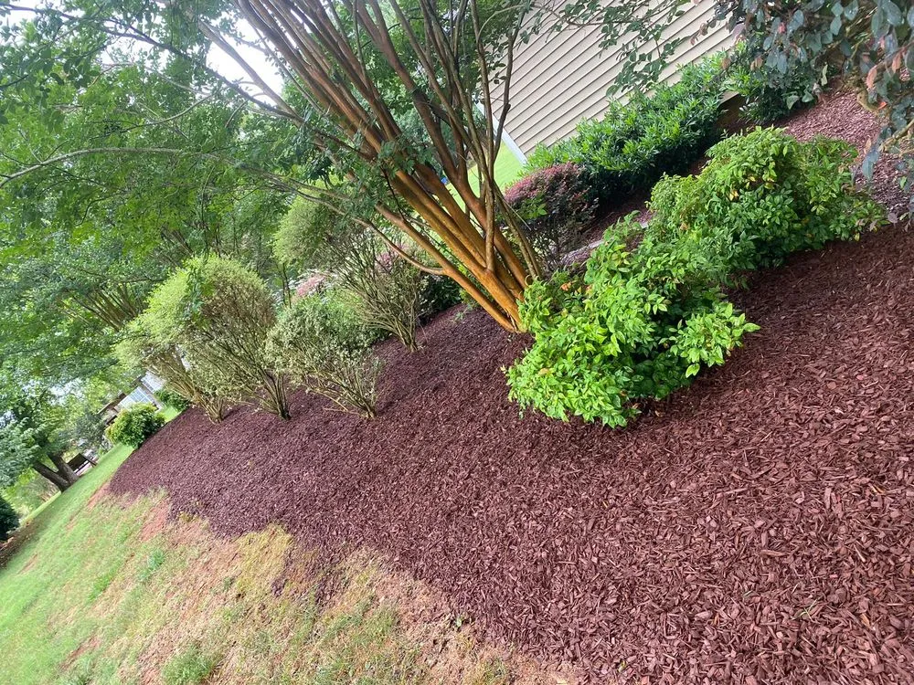 Custom lawn care service for beautiful yards in Charlotte, NC by Jose Santos Landscaping