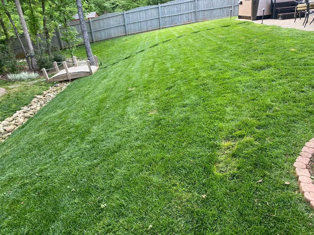 Expert residential landscaping in Charlotte, NC - Jose Santos Landscaping