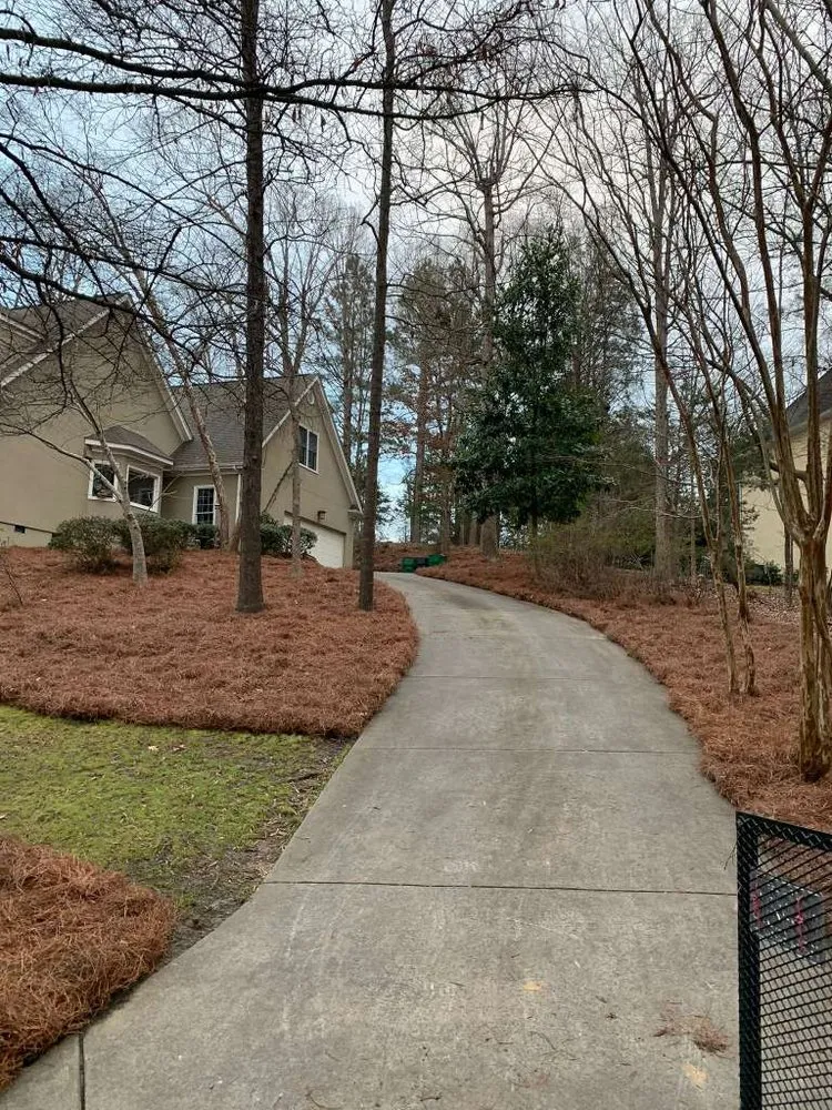 Affordable outdoor landscaping with custom design in Charlotte, NC by Jose Santos Landscaping