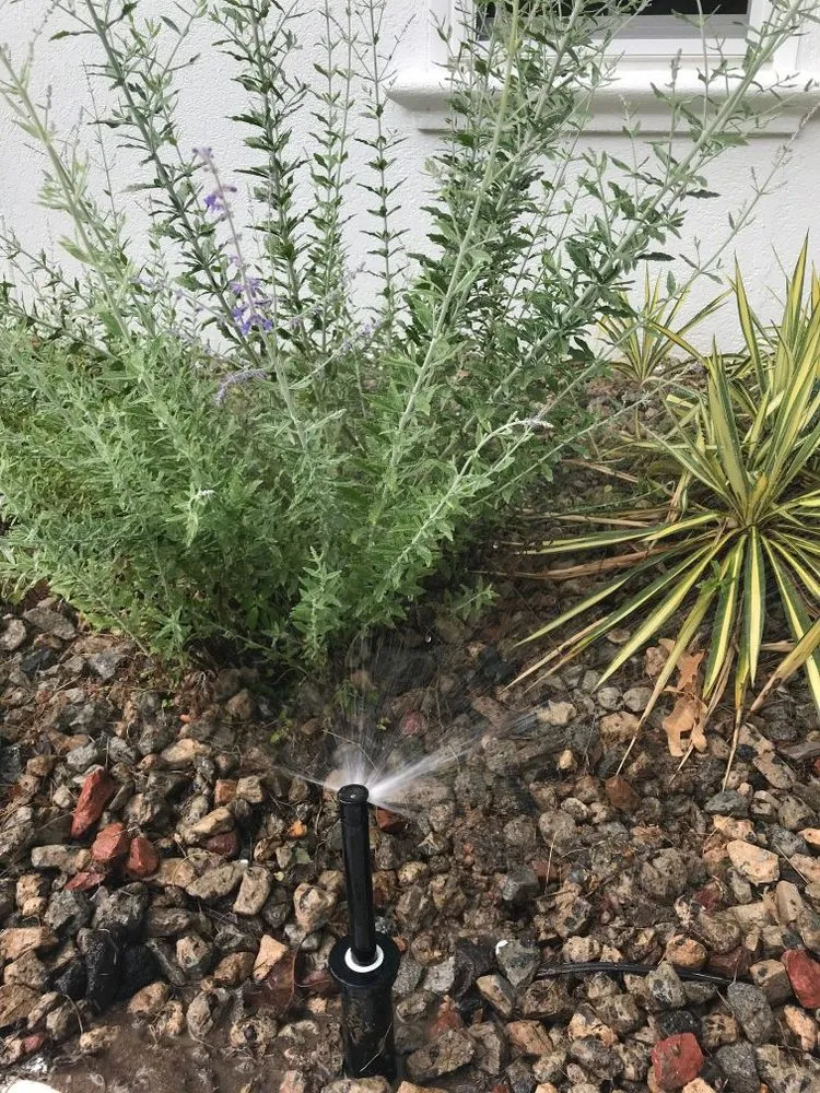 Reliable lawn care service in Charlotte, NC by Jose Santos Landscaping