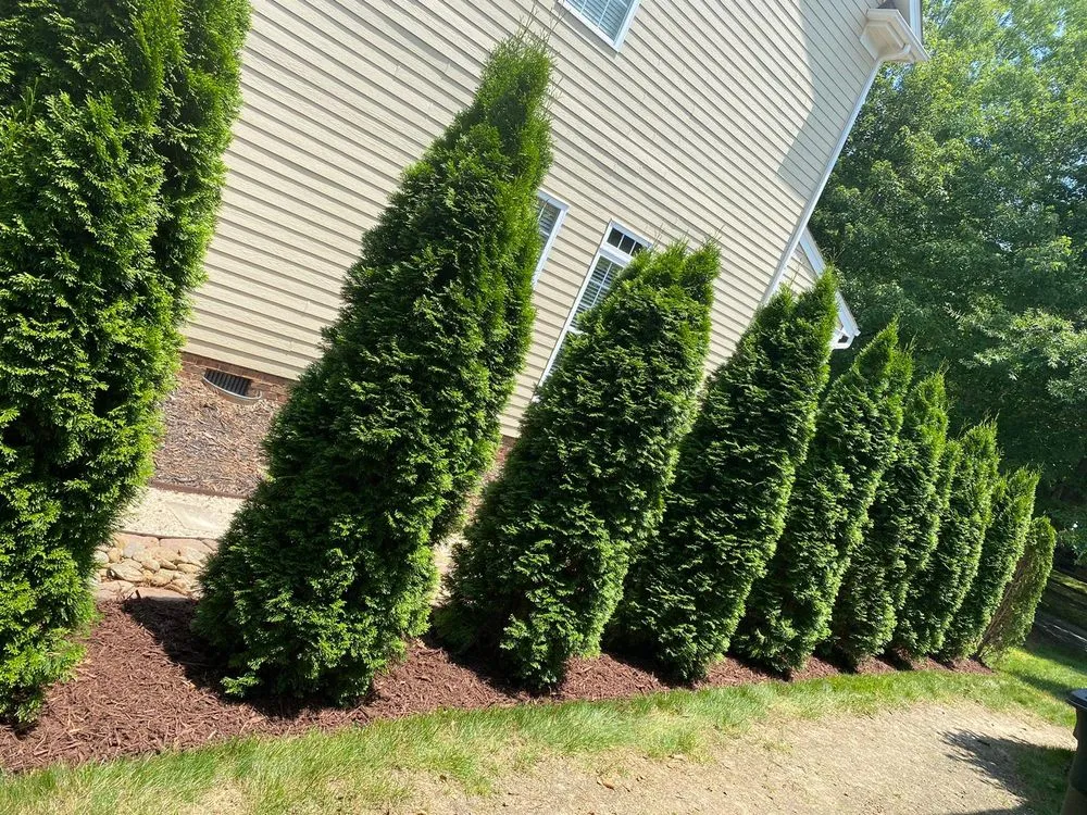 Expert lawn mowing service for beautiful yards in Charlotte, NC by Jose Santos Landscaping