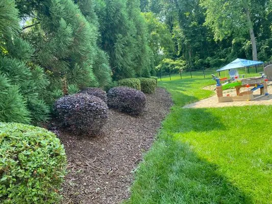 Jose Santos Landscaping