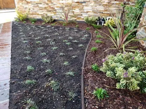 Expert yard cleanup service in Los Angeles, CA - Jose Santos Landscaping