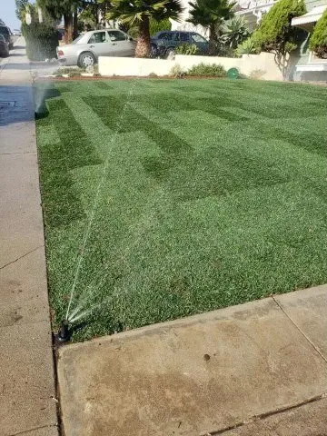 Reliable lawn care service experts serving Los Angeles, CA - Jose Santos Landscaping