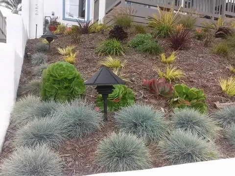 Top-rated garden landscaping for homes across Los Angeles, CA - Jose Santos Landscaping