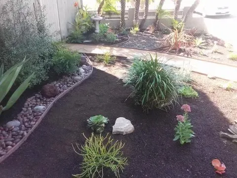 Local yard maintenance experts serving Los Angeles, CA - Jose Santos Landscaping