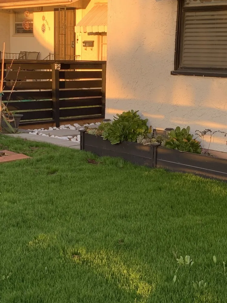 Top-rated lawn care service in Los Angeles, CA - Jose Santos Landscaping