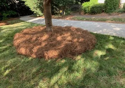 Reliable yard maintenance in Mint Hill, NC by Jose Santos Landscaping