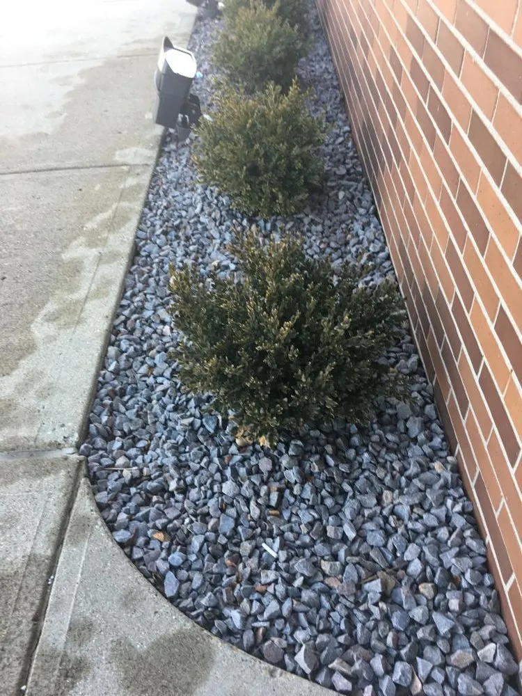 Affordable yard cleanup service for homes across Indianapolis, IN - Jose Serrano