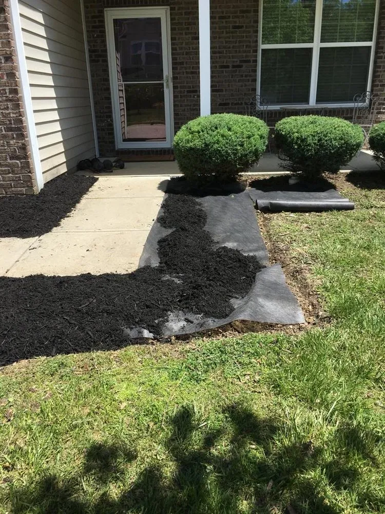 Professional landscape design for outdoor upgrades across Indianapolis, IN - Jose Serrano