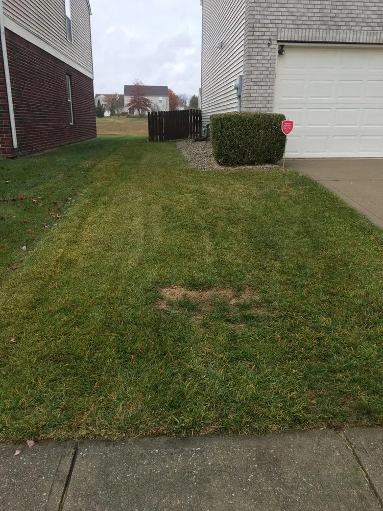 Expert residential landscaping for year-round maintenance across Indianapolis, IN - Jose Serrano