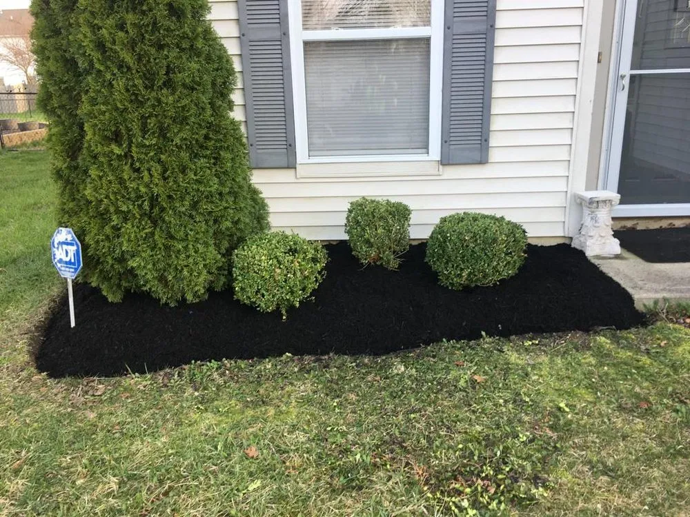 Reliable yard cleanup service experts serving Indianapolis, IN - Jose Serrano