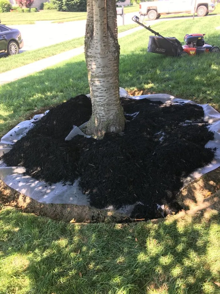 Expert garden landscaping in Indianapolis, IN by Jose Serrano