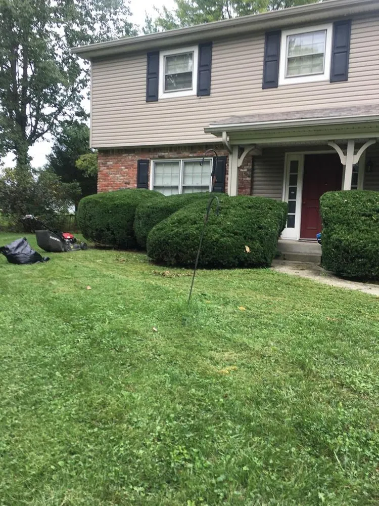 Trusted lawn mowing service in Indianapolis, IN - Jose Serrano
