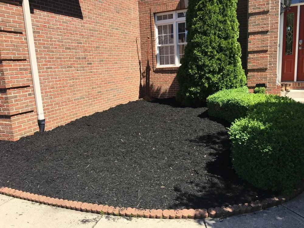 Reliable landscape installation in Indianapolis, IN - Jose Serrano