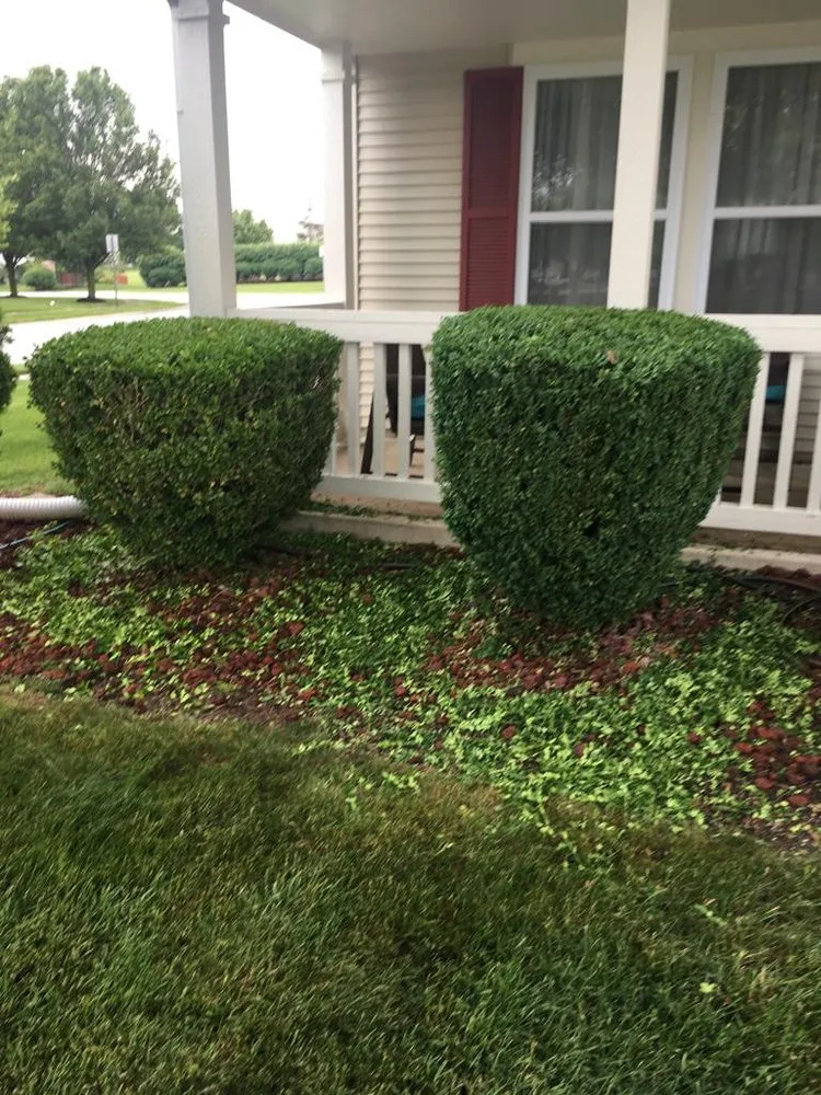 Affordable landscape installation for beautiful yards in Indianapolis, IN by Jose Serrano