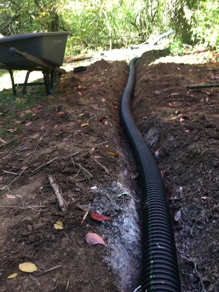 Trusted yard cleanup service near you in Indianapolis, IN by Jose Serrano