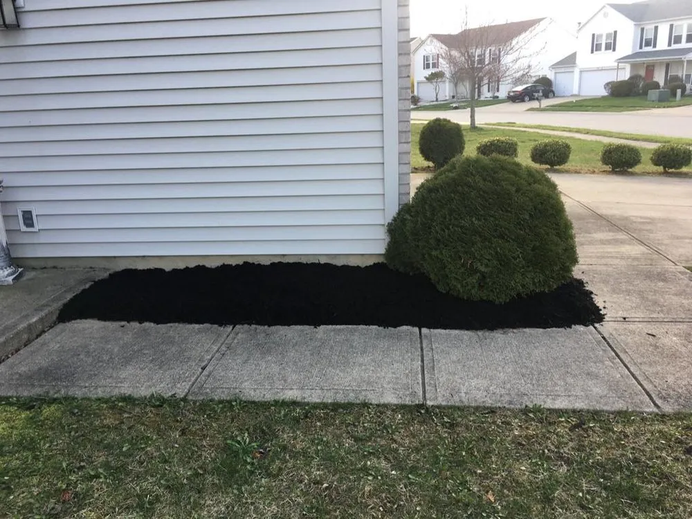 Top-rated yard maintenance experts serving Indianapolis, IN - Jose Serrano