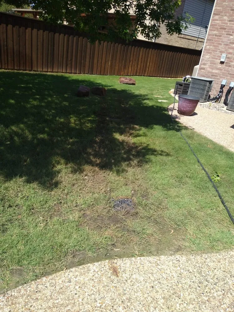 Top-rated residential landscaping in Denton, TX - Jose Sotelo Landscaping and Tree service