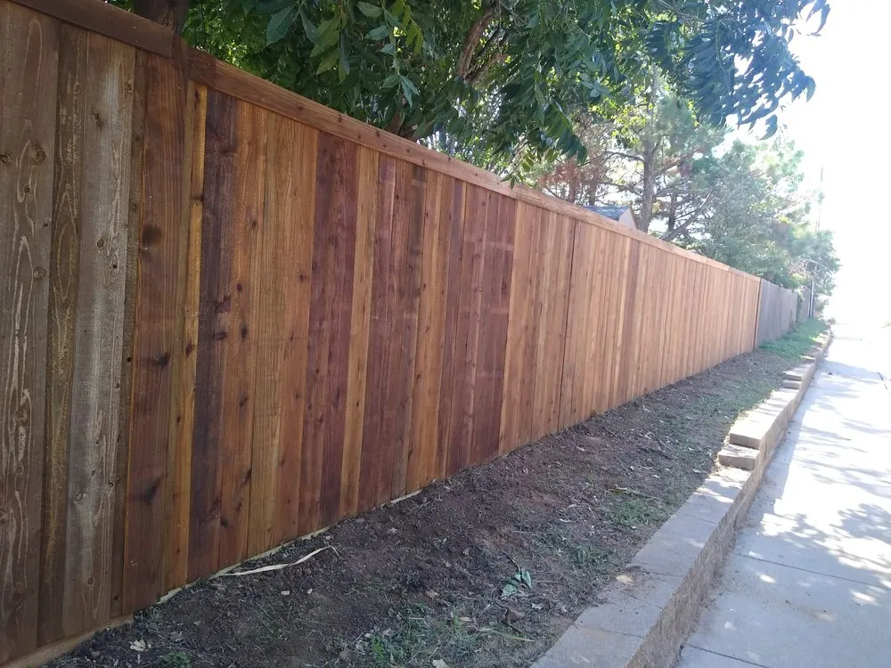 Trusted lawn care service in Denton, TX - Jose Sotelo Landscaping and Tree service