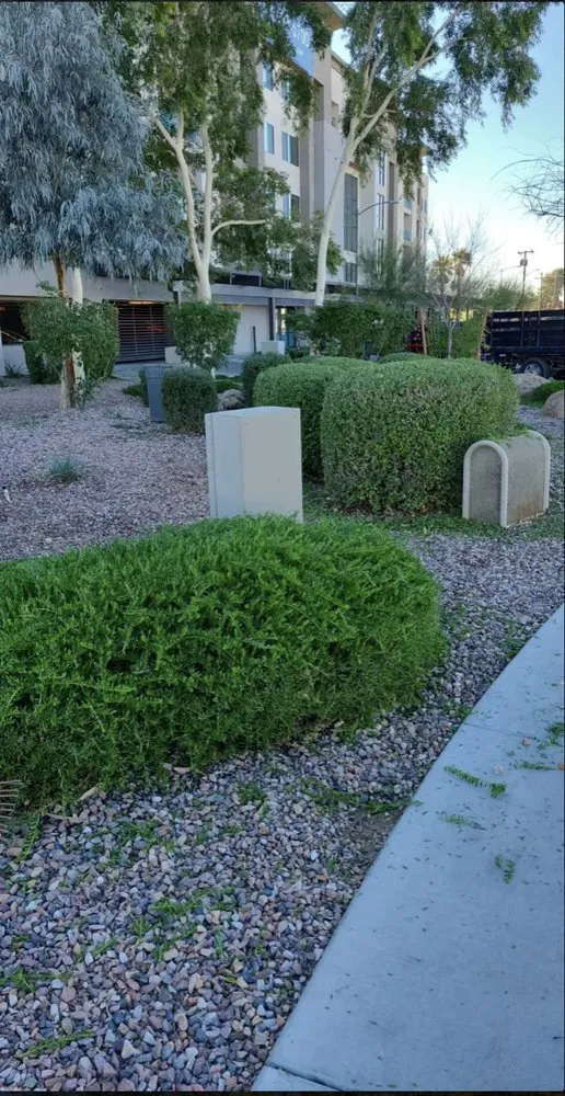 Trusted outdoor landscaping experts serving Alcoa, TN - Jose Supremacy Landscaping