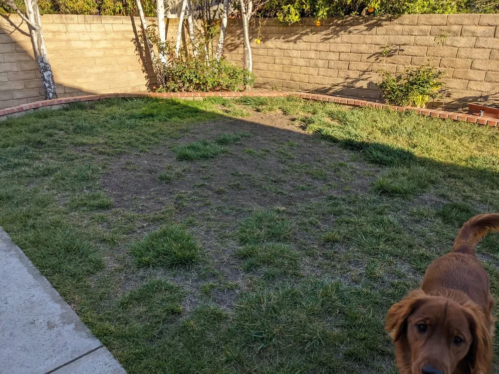 Custom lawn care service in Oxnard, CA - Jose The Gardener