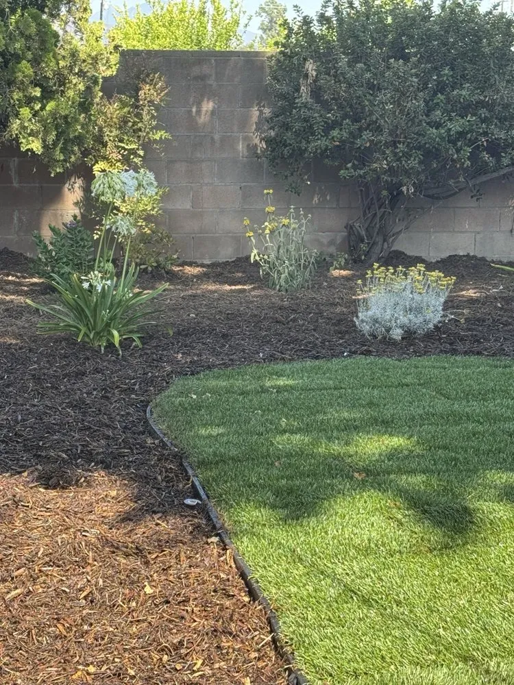 Reliable yard maintenance experts serving Oxnard, CA - Jose The Gardener
