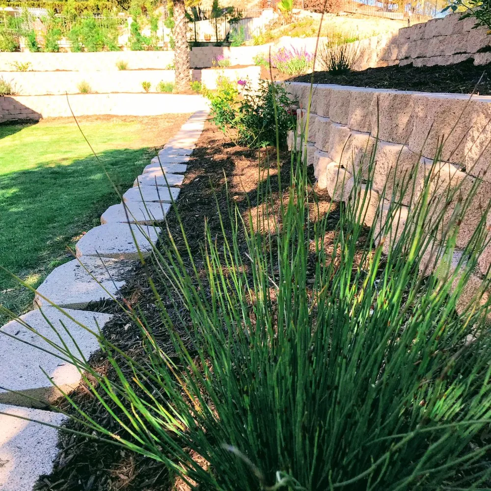 Affordable outdoor landscaping in Oxnard, CA - Jose The Gardener