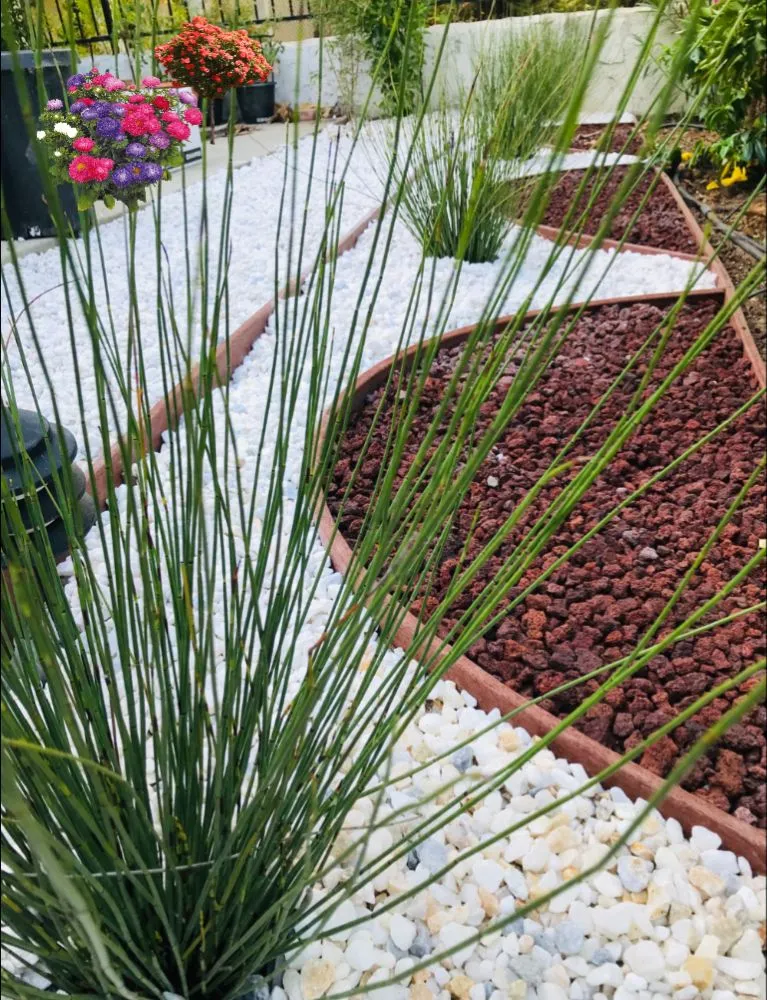 Expert yard cleanup service for residential properties in Oxnard, CA by Jose The Gardener