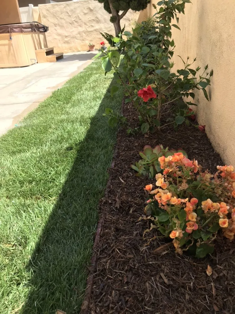 Trusted residential landscaping in Oxnard, CA - Jose The Gardener