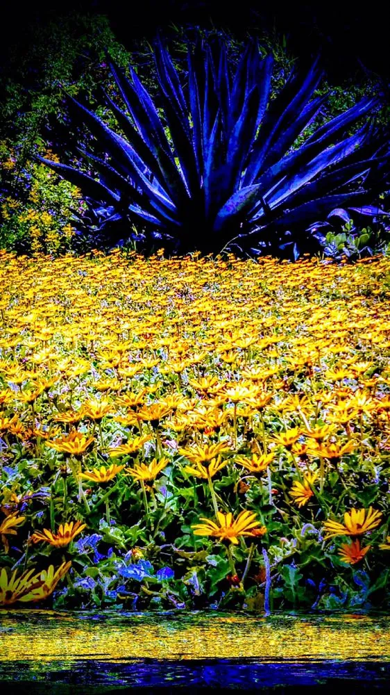 Top-rated yard maintenance for residential properties in Oxnard, CA by Jose The Gardener