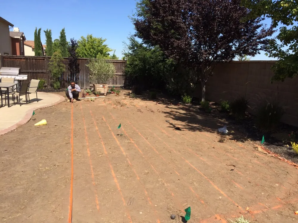 Trusted yard cleanup service in Roseville, CA - Jose The Lawnmowerman
