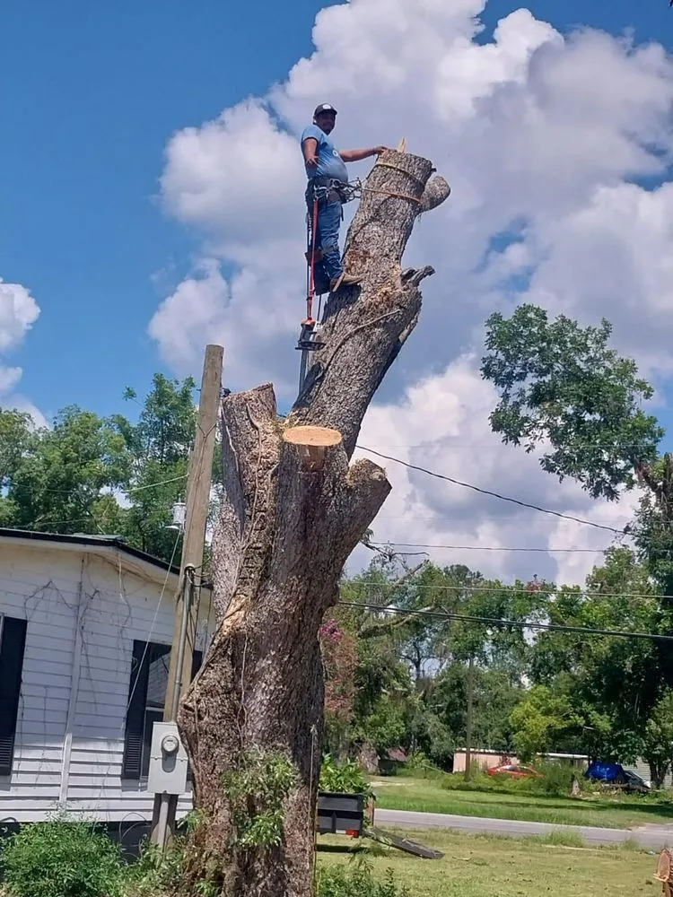 Expert landscape design for homes across Pearson, GA - Jose Tree Service & Landscaping