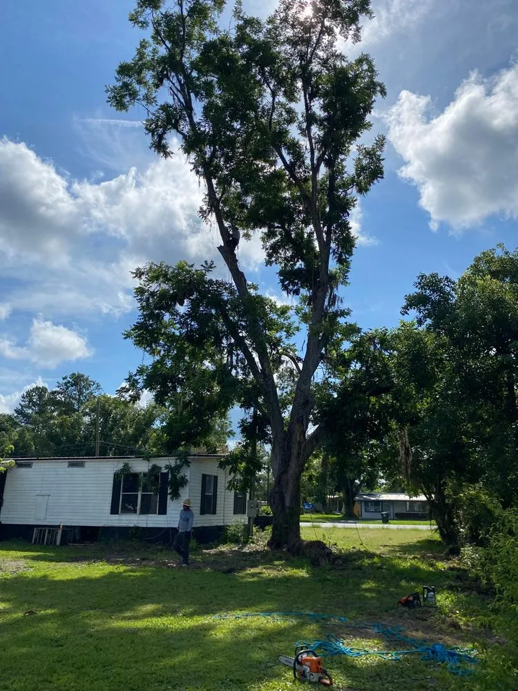 Affordable outdoor landscaping for year-round maintenance across Pearson, GA - Jose Tree Service & Landscaping