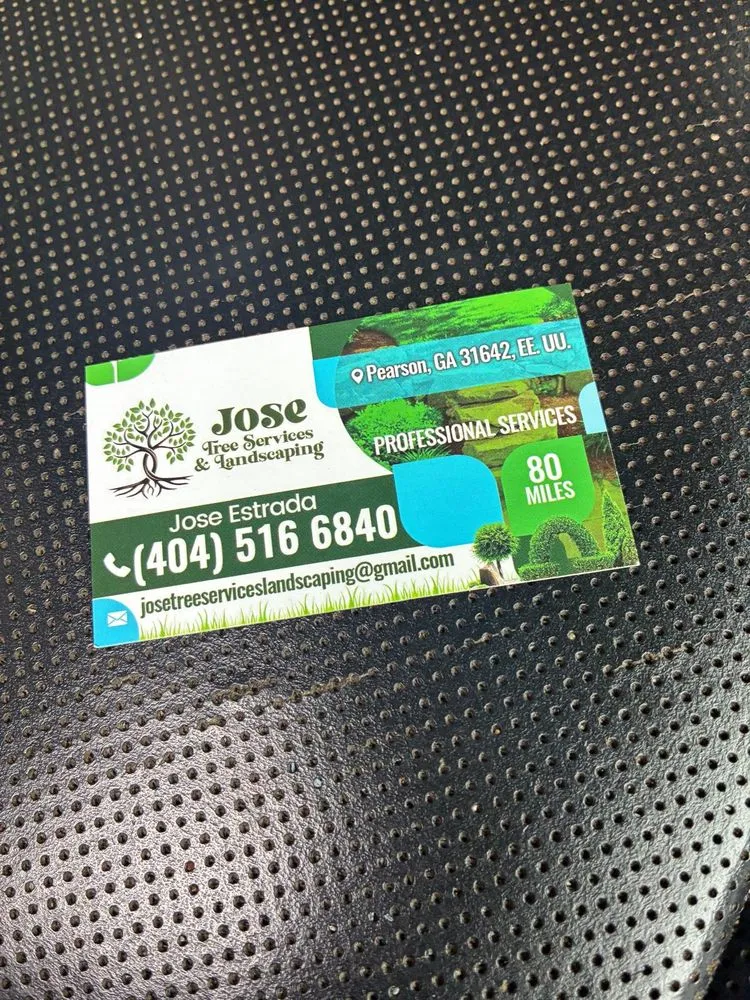 Trusted yard cleanup service experts serving Pearson, GA - Jose Tree Service & Landscaping