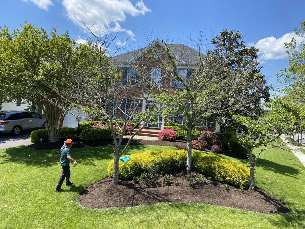 Trusted landscaping services in Annapolis, MD by Jose Tree Service and Landscaping