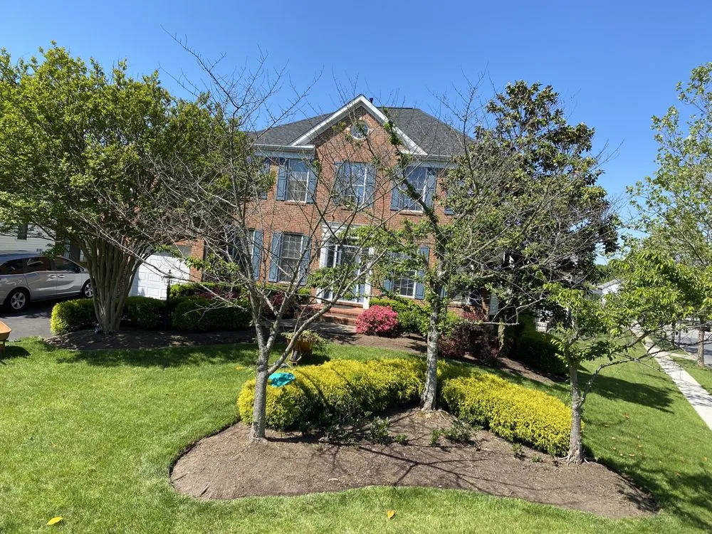 Affordable garden landscaping with custom design in Annapolis, MD by Jose Tree Service and Landscaping