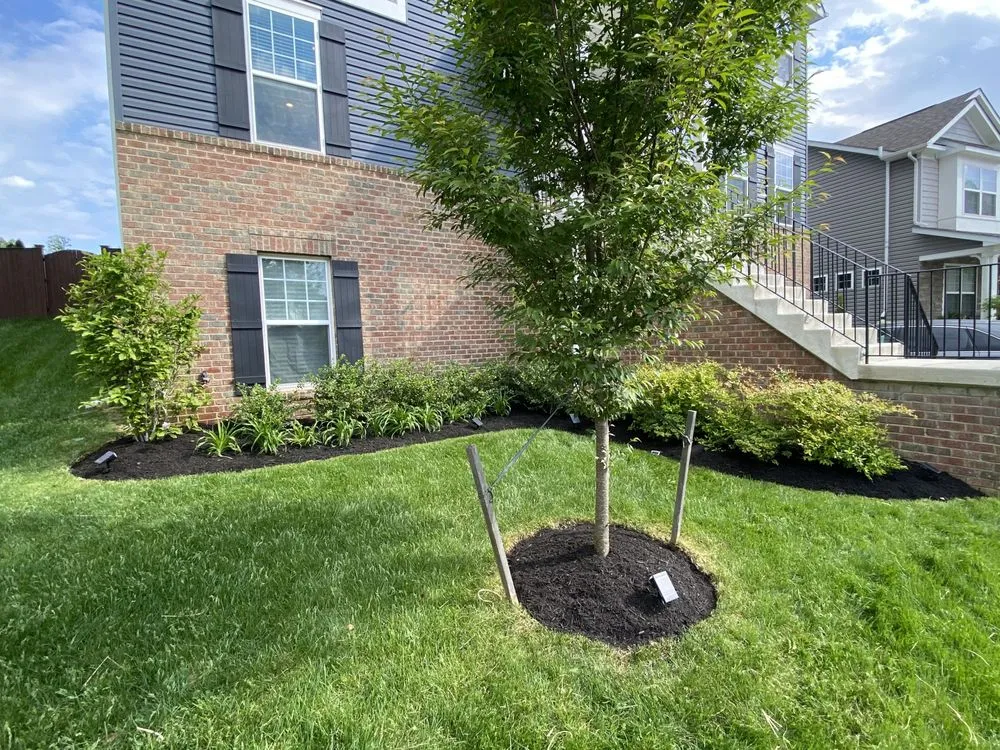 Local residential landscaping for homes in Annapolis, MD by Jose Tree Service and Landscaping