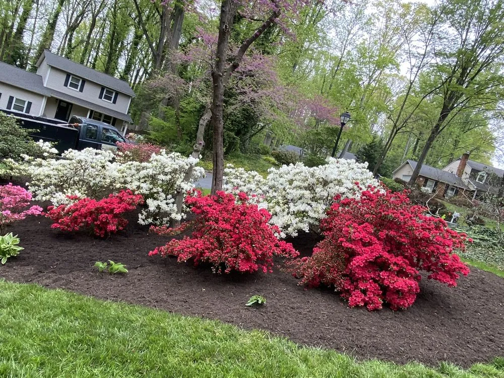 Trusted yard maintenance experts serving Annapolis, MD - Jose Tree Service and Landscaping