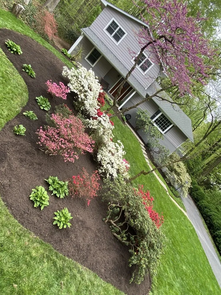 Top-rated landscaping services in Annapolis, MD by Jose Tree Service and Landscaping