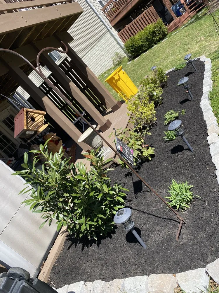 Local yard maintenance in Annapolis, MD by Jose Tree Service and Landscaping