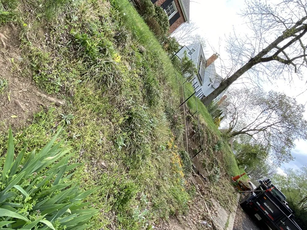 Affordable yard cleanup service in Annapolis, MD - Jose Tree Service and Landscaping