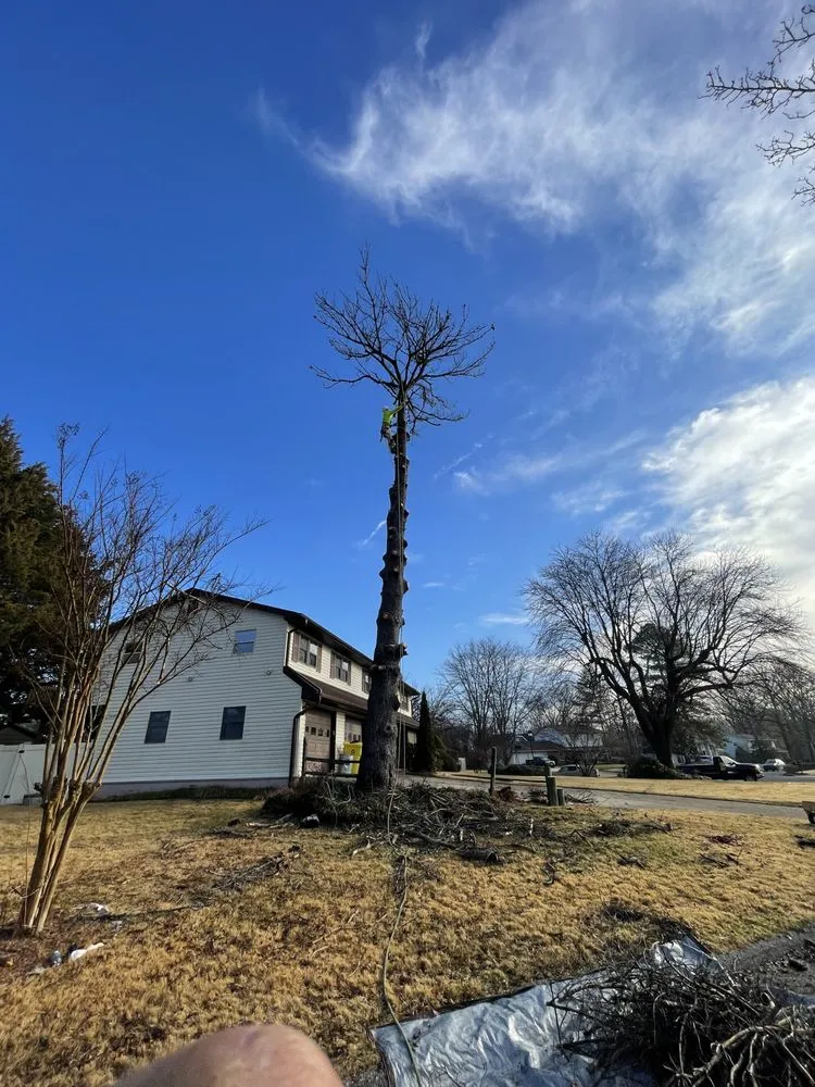 Professional residential landscaping in Annapolis, MD by Jose Tree Service and Landscaping