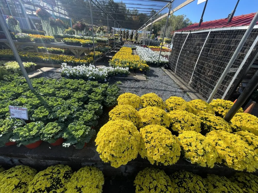 Custom lawn care service in Annapolis, MD - Jose Tree Service and Landscaping