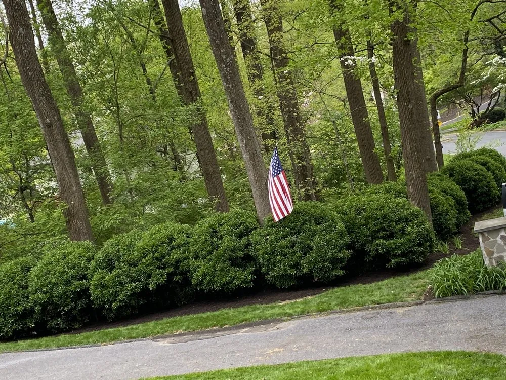 Local yard maintenance experts serving Annapolis, MD - Jose Tree Service and Landscaping