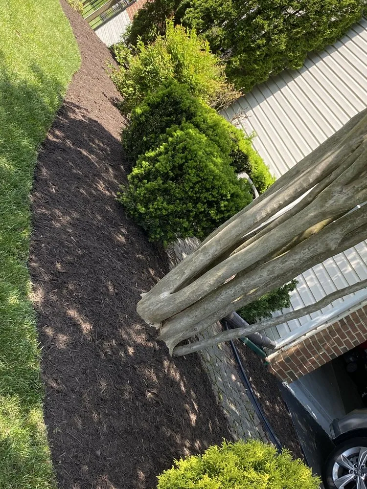 Local landscape design in Annapolis, MD by Jose Tree Service and Landscaping