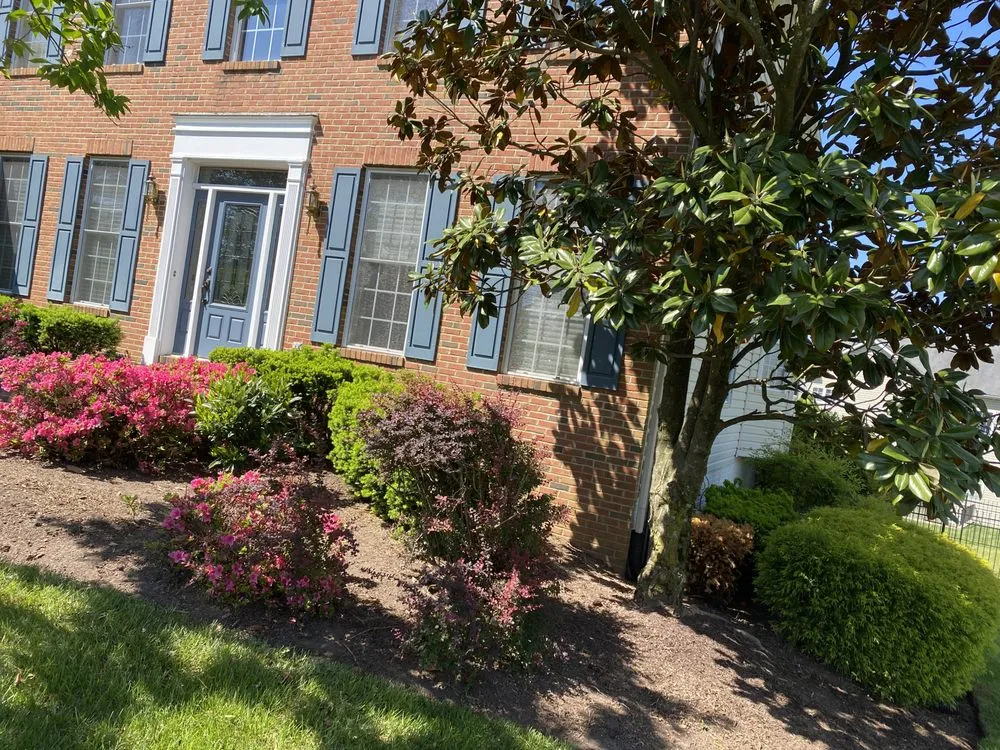 Professional landscape installation experts serving Annapolis, MD - Jose Tree Service and Landscaping