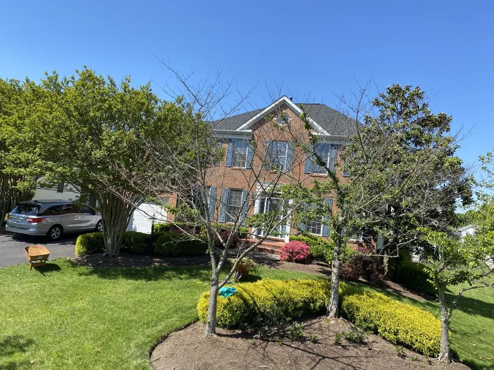 Trusted lawn mowing service in Annapolis, MD - Jose Tree Service and Landscaping